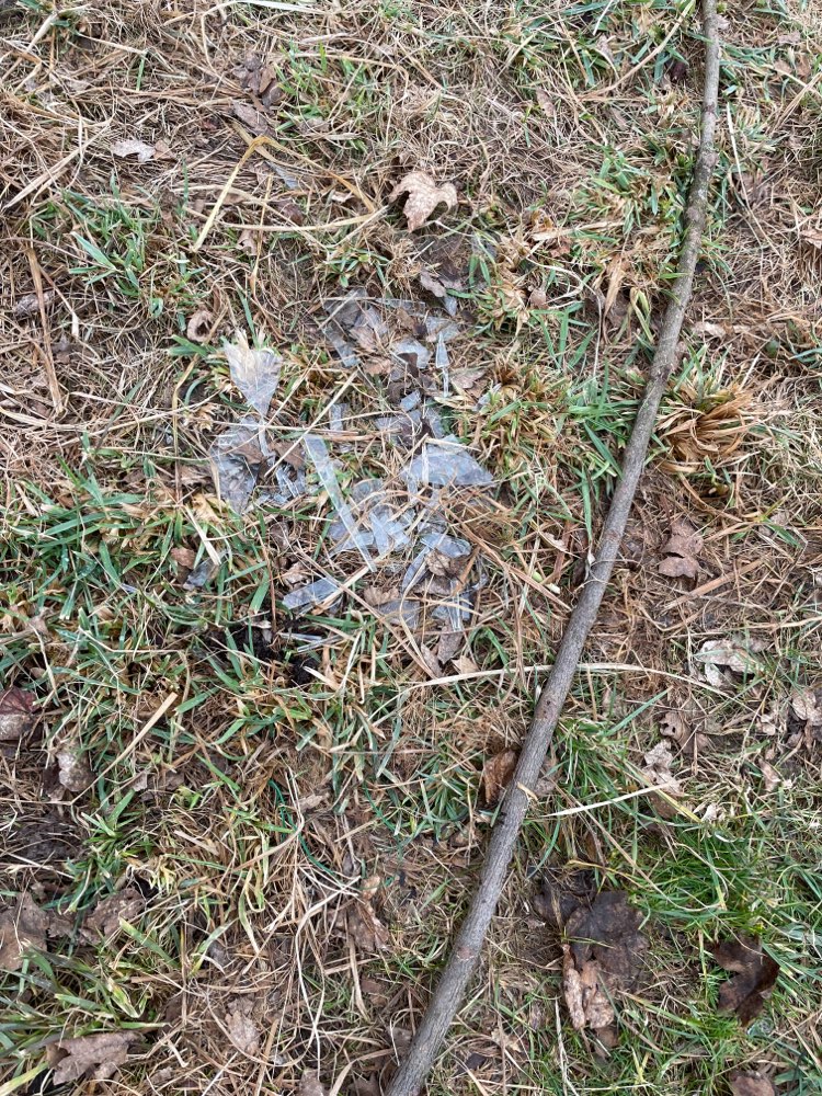 Giftköder-Glasscherben auf dem Feldweg-Profilbild