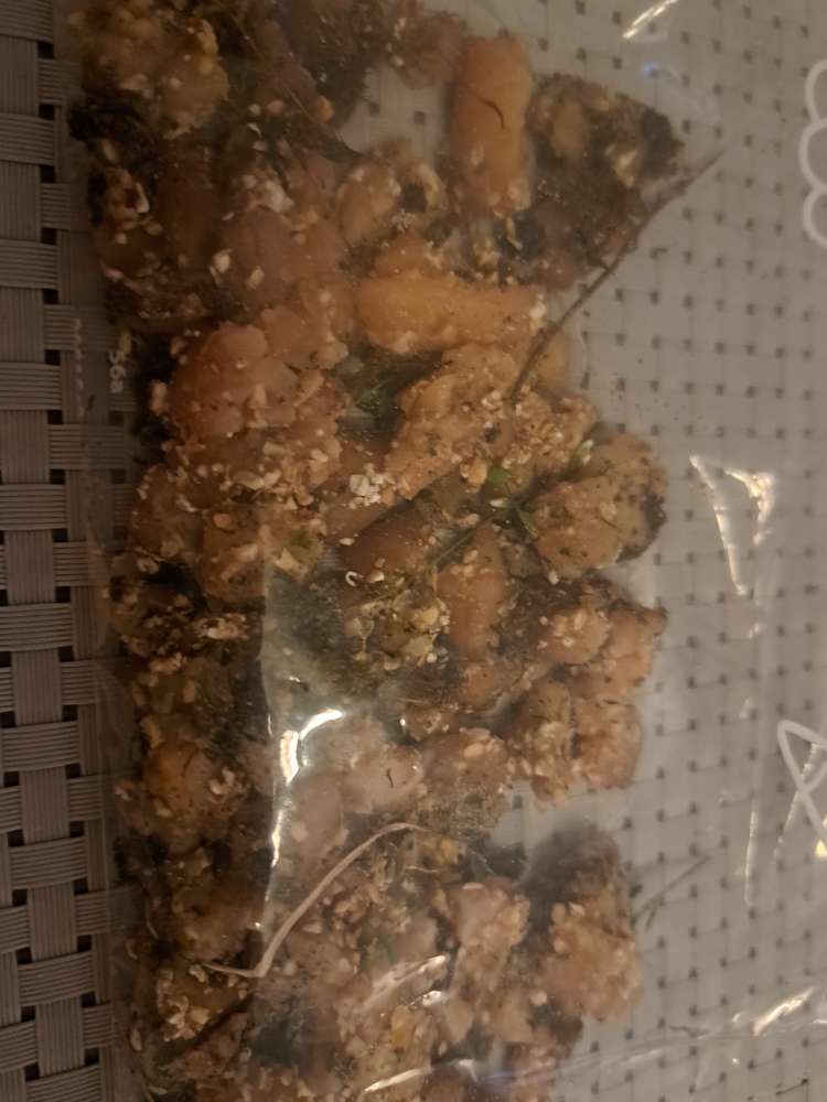 Giftköder-Giftköder-Profilbild