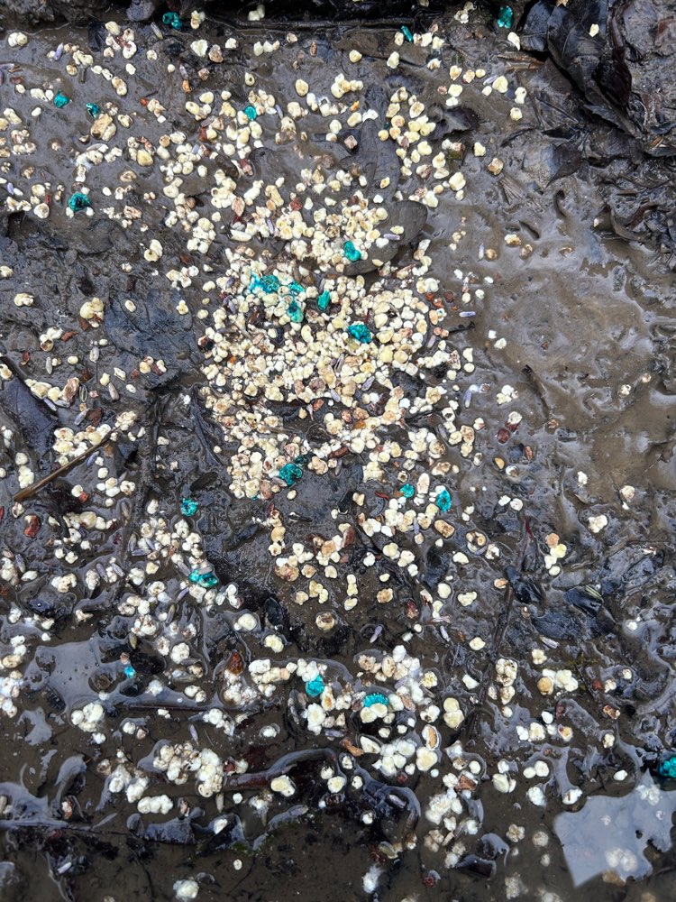 Giftköder-Evtl. Ratten-/Schneckengift-Profilbild