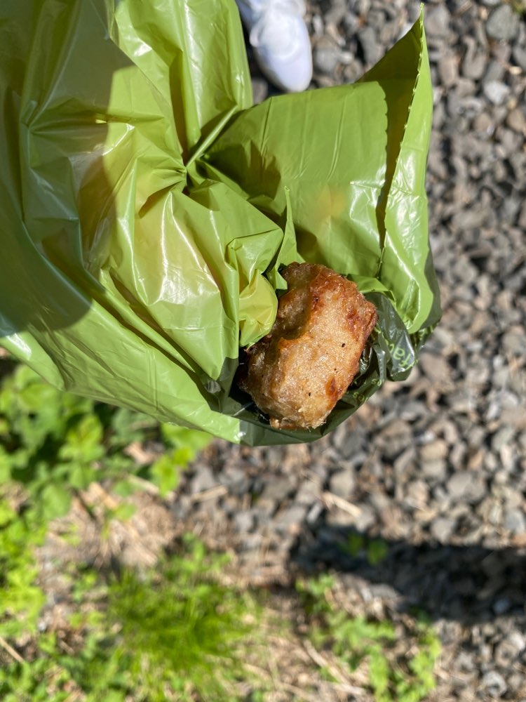 Giftköder-Würstchenstücke gefunden-Profilbild