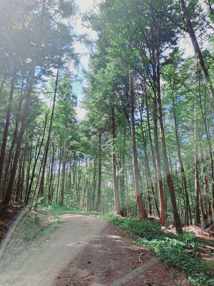 Hundetreffen-Gemeinsam Bad Kissinger Wanderwege erkunden!-Profilbild