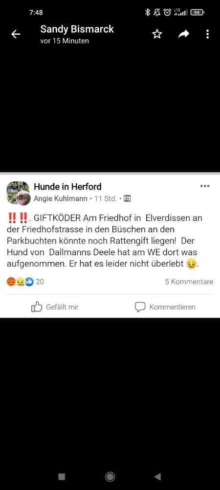 Giftköder-Giftköder Friedhof-Profilbild