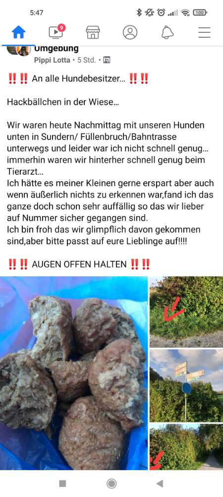 Giftköder-Giftköder-Profilbild