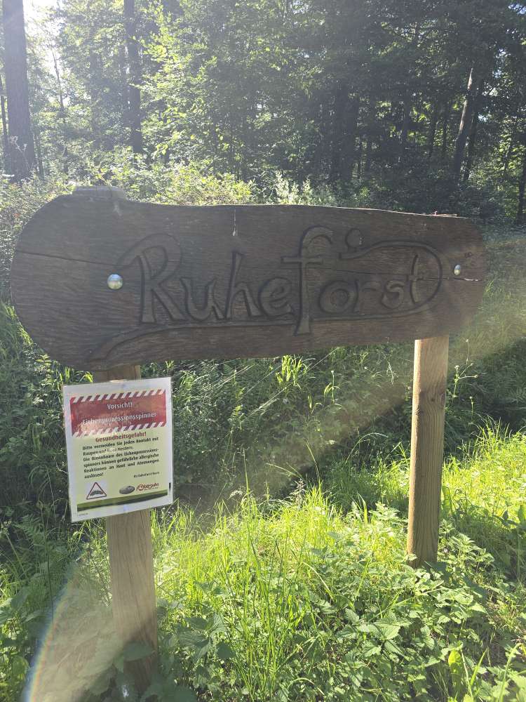 Giftköder-Eichenprozessionsspinner-Profilbild