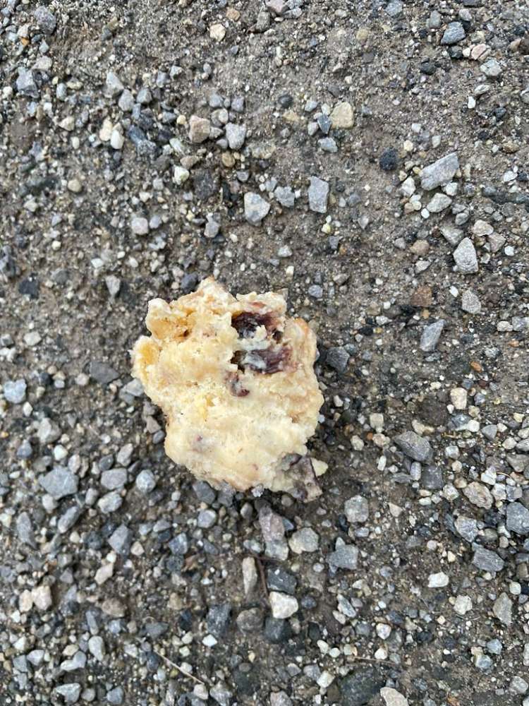 Giftköder-Giftköder im Egelpfad-Profilbild