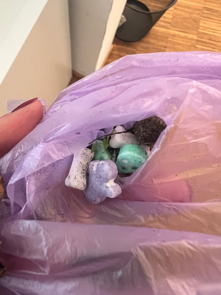 Giftköder-pot. Giftköder Hafenpromenade Oldenburg-Profilbild