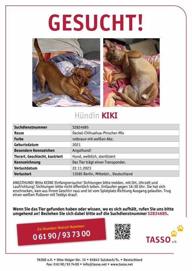 Suchmeldung-Kiki-Profilbild