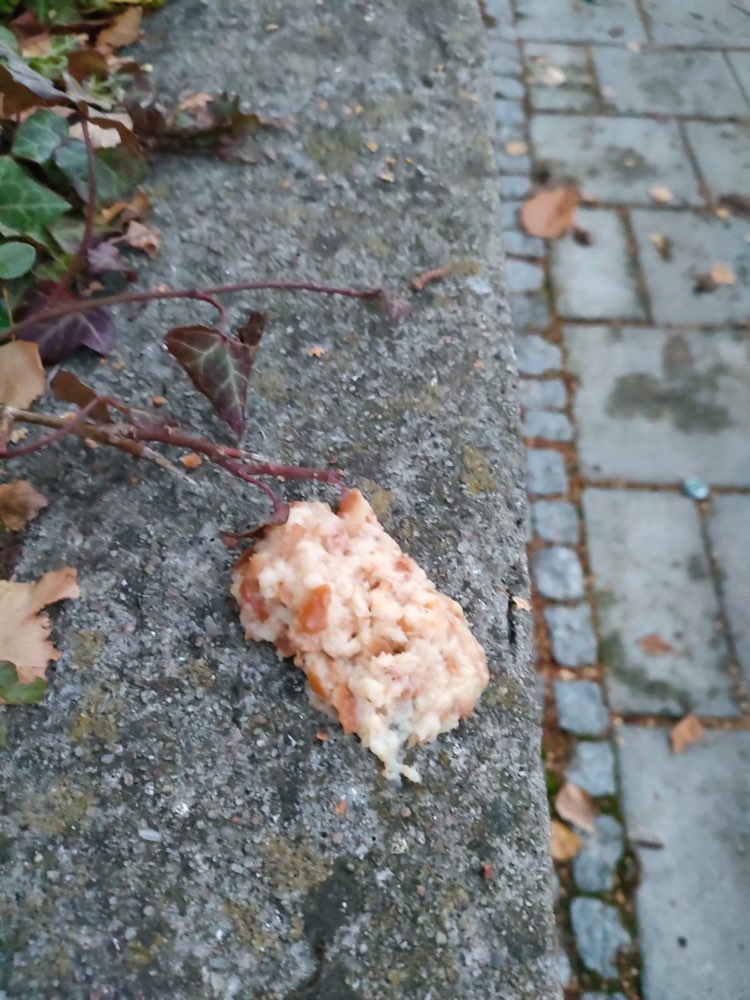 Giftköder-Verdächtige Haufen mit Brot/Fleisch-Profilbild