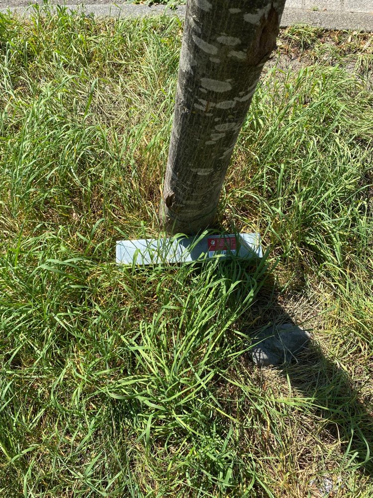 Giftköder-Rattenfalle mit Rattengift-Profilbild