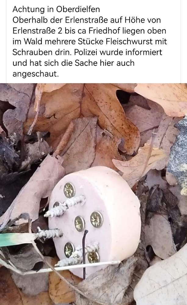 Giftköder-Giftköder-Profilbild