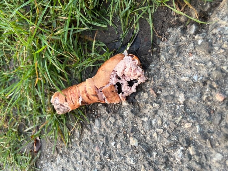 Giftköder-Giftköder in Waiblingen-Neustadt-Profilbild