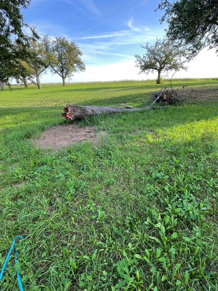 Giftköder-Rattengift-Profilbild