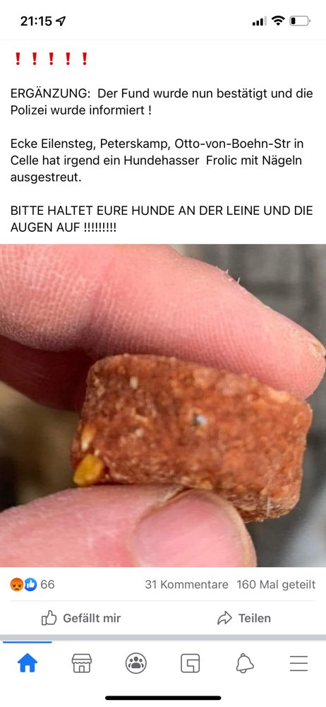 Giftköder-Frolic mit Nägeln-Profilbild