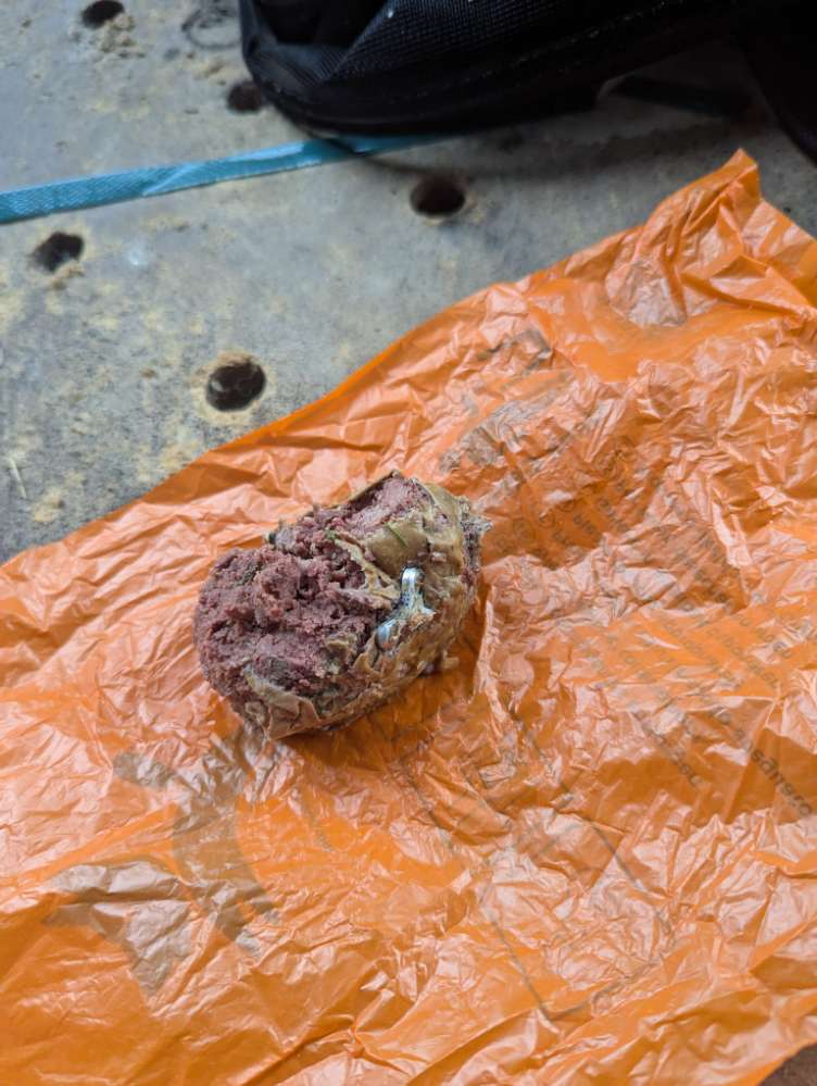 Giftköder-Vermutlich präparierter Köder-Profilbild
