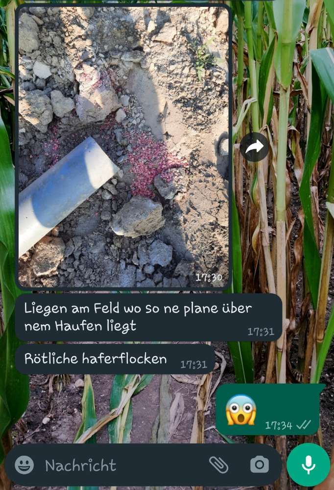 Giftköder-Giftköder, warscheinlich Rattengift-Profilbild