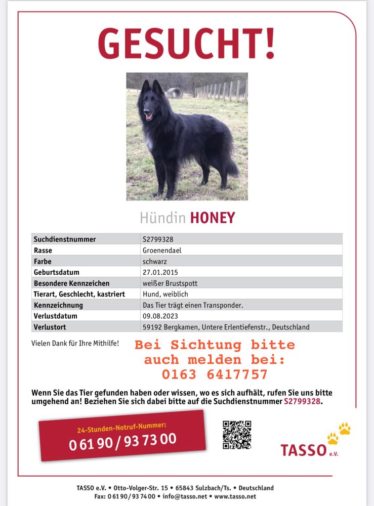 Suchmeldung-Honey-Profilbild