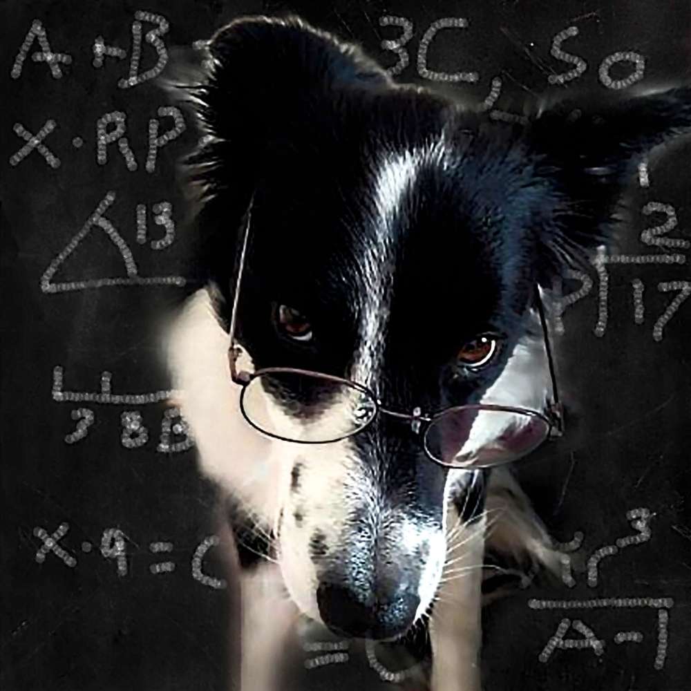 Hundetreffen-Trainingsgruppe Kreis Offenbach-Profilbild