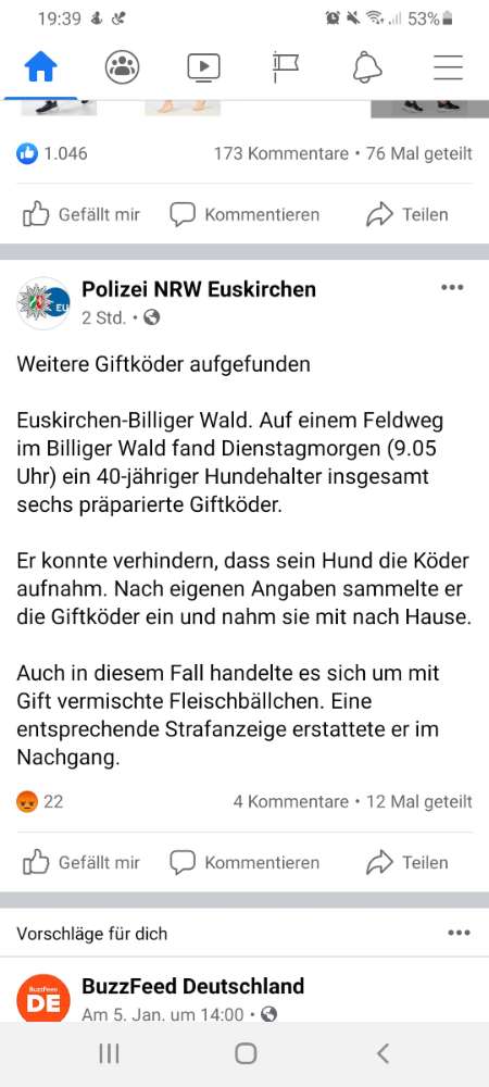 Giftköder-Giftköder im Billiger Wald-Profilbild