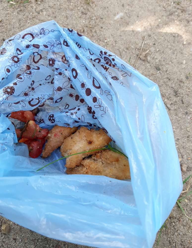 Giftköder-Ausgelegte Nuggets im Gras-Profilbild