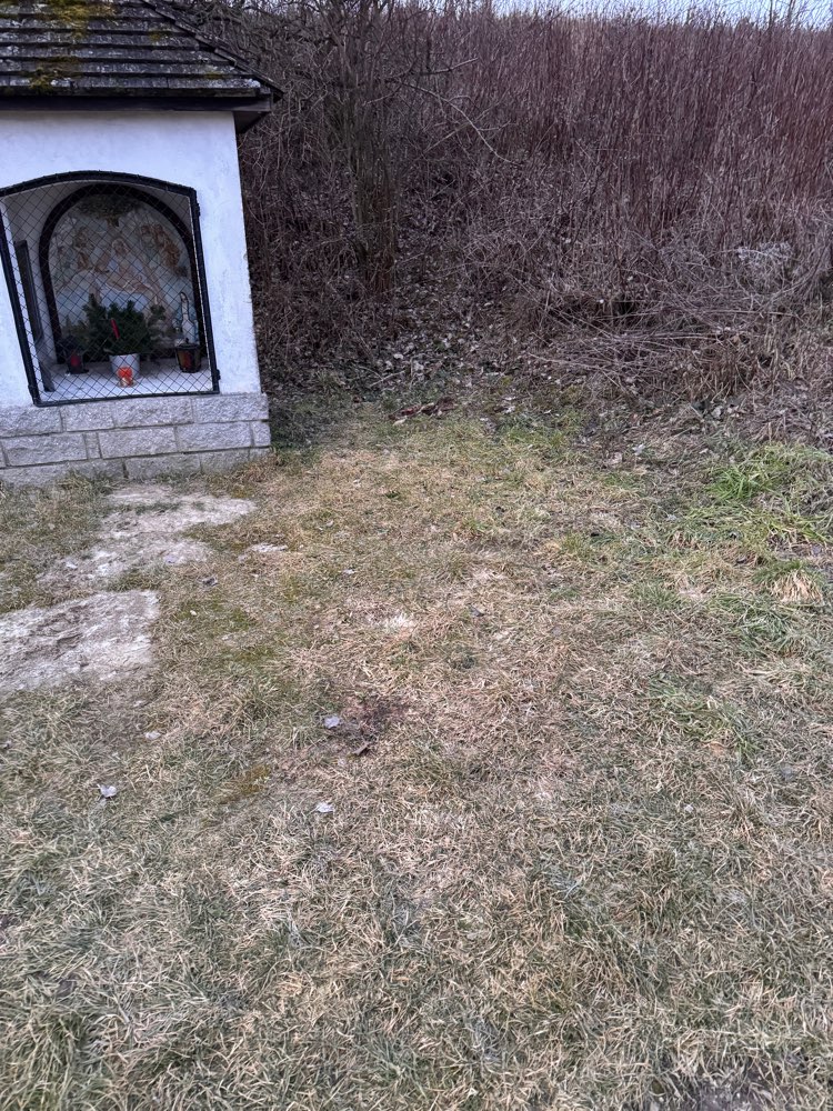 Giftköder-Tote Hasen Mgl Hasenpest-Profilbild