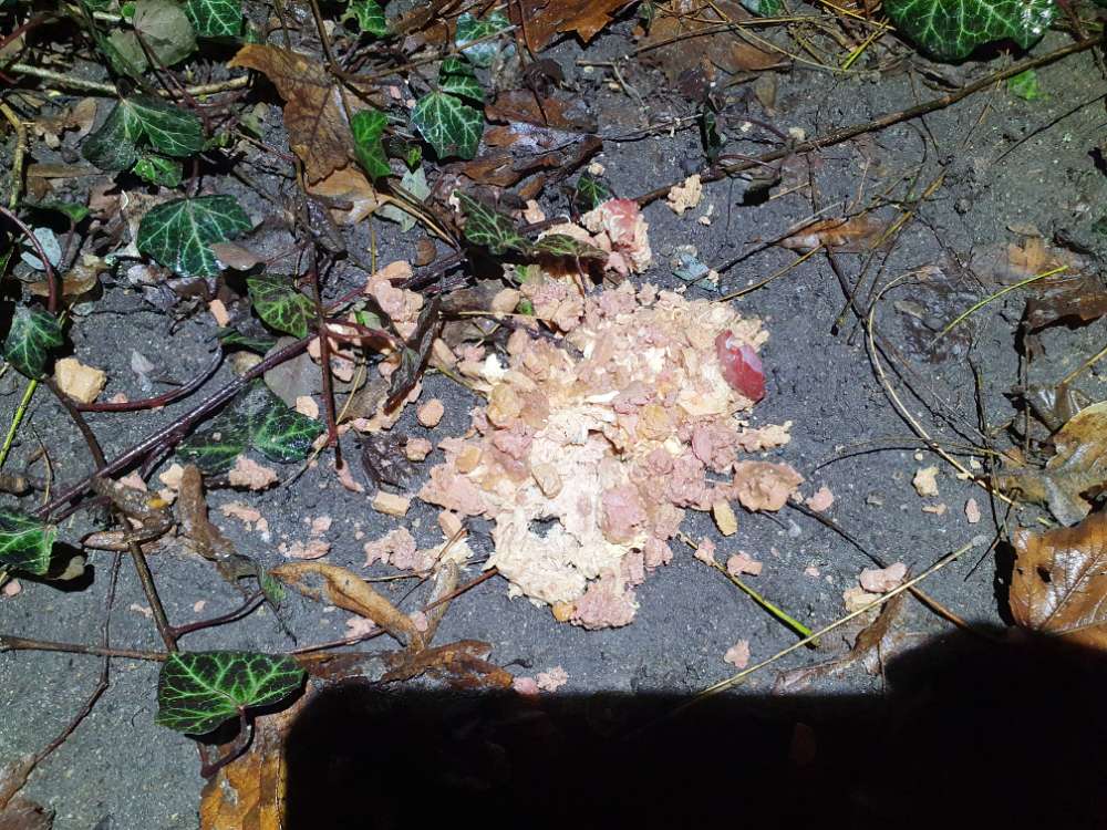 Giftköder-Verdacht auf Giftköder-Profilbild