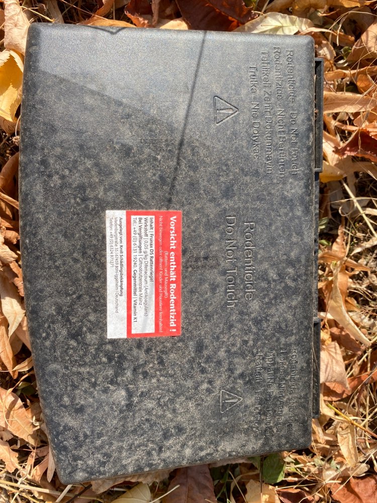 Giftköder-Giftköder Boxen-Profilbild