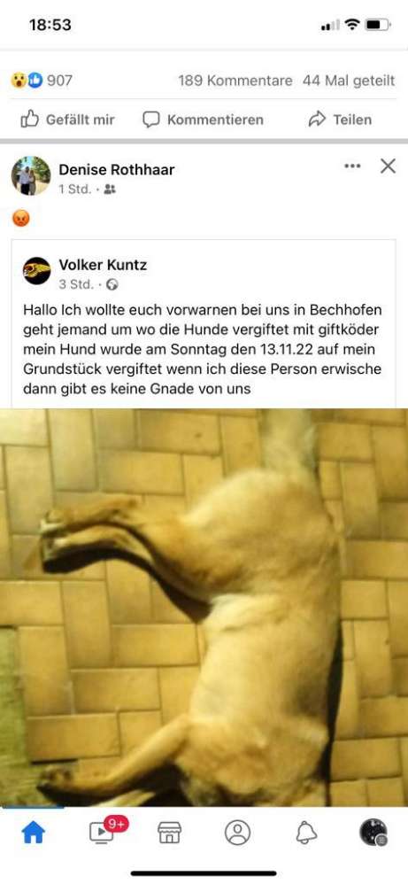 Giftköder-Giftköder-Profilbild