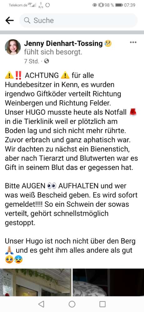 Giftköder-Giftköder-Profilbild