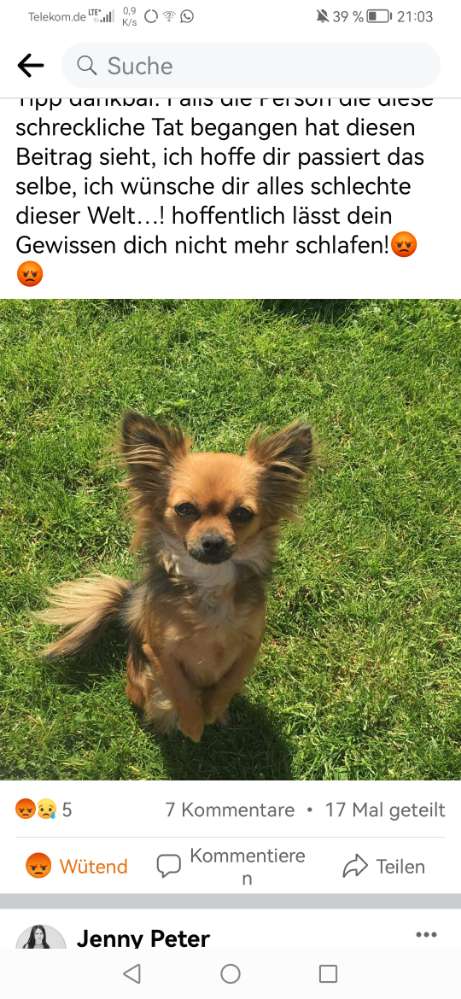 Giftköder-Rattengift-Profilbild