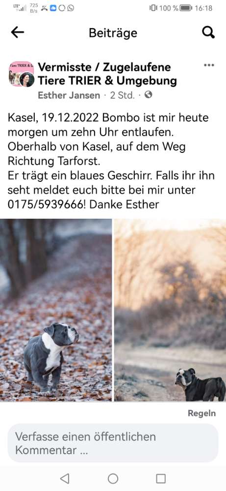 Suchmeldung-Bombo-Profilbild