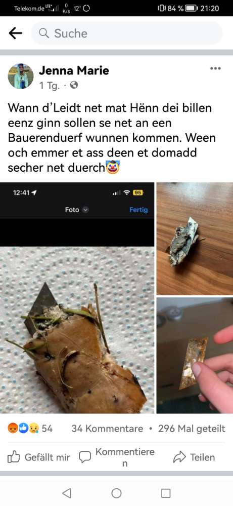 Giftköder-Giftköder mit Messerklinge-Profilbild