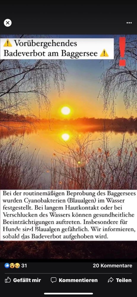 Giftköder-‼️‼️‼️ Blaualgen im Baggersee-Profilbild