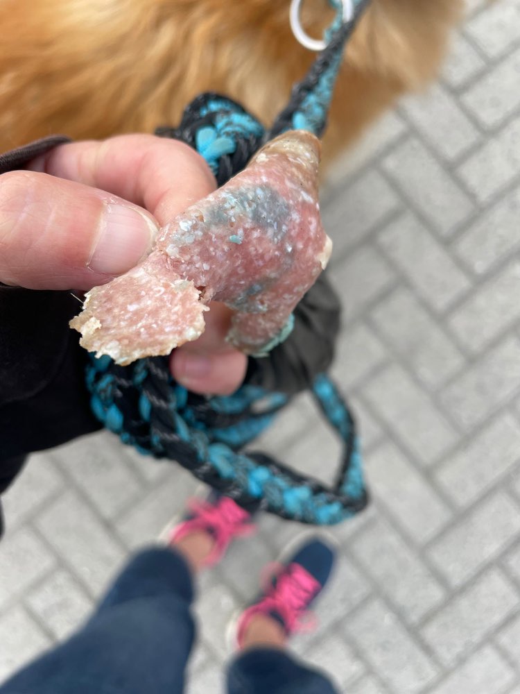 Giftköder-Giftköder-Profilbild