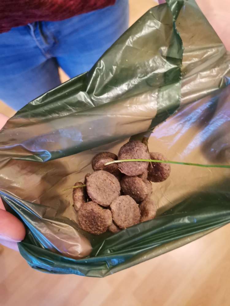 Giftköder-Hundefutter auf der Hundewiese gefunden!-Profilbild