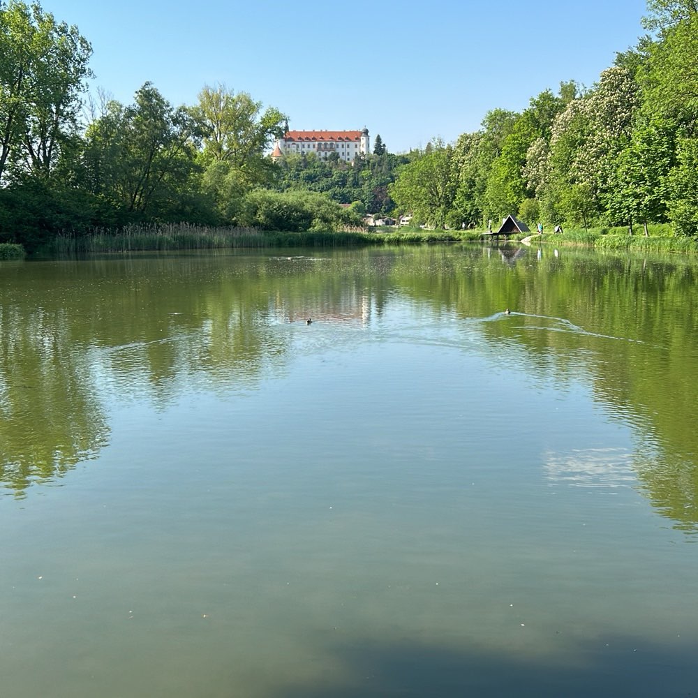 Hundetreffen-Sitzenberg Teichrunde-Profilbild