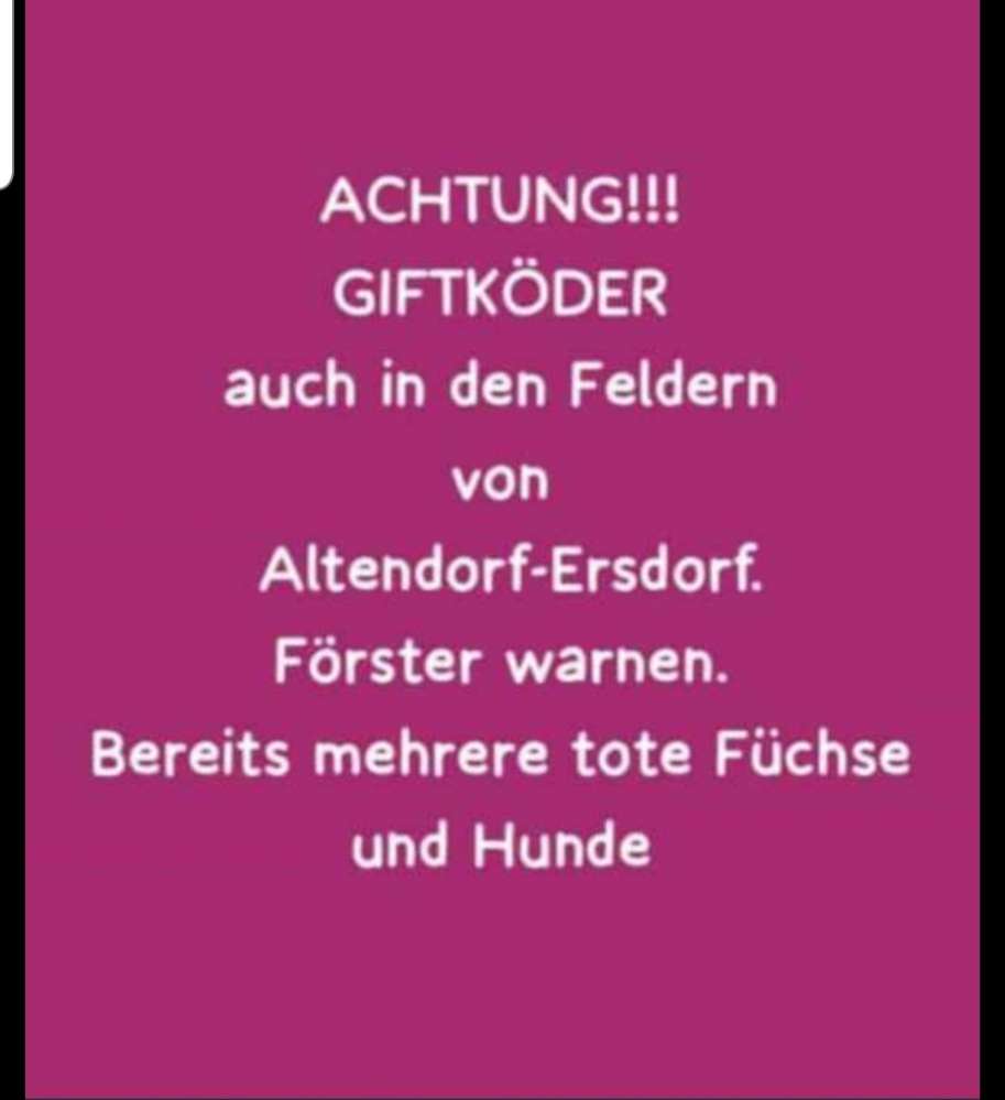 Giftköder-Giftköder-Profilbild