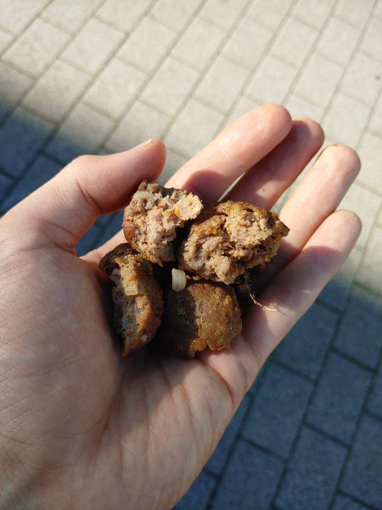 Giftköder-Potentielle Giftköder Fleischbällchen-Profilbild