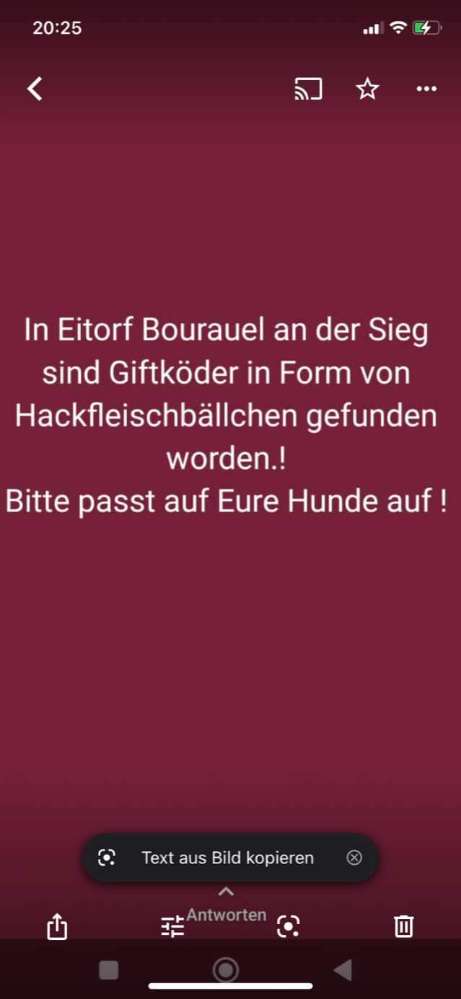 Giftköder-Giftköder in Form von Hackbällchen-Profilbild
