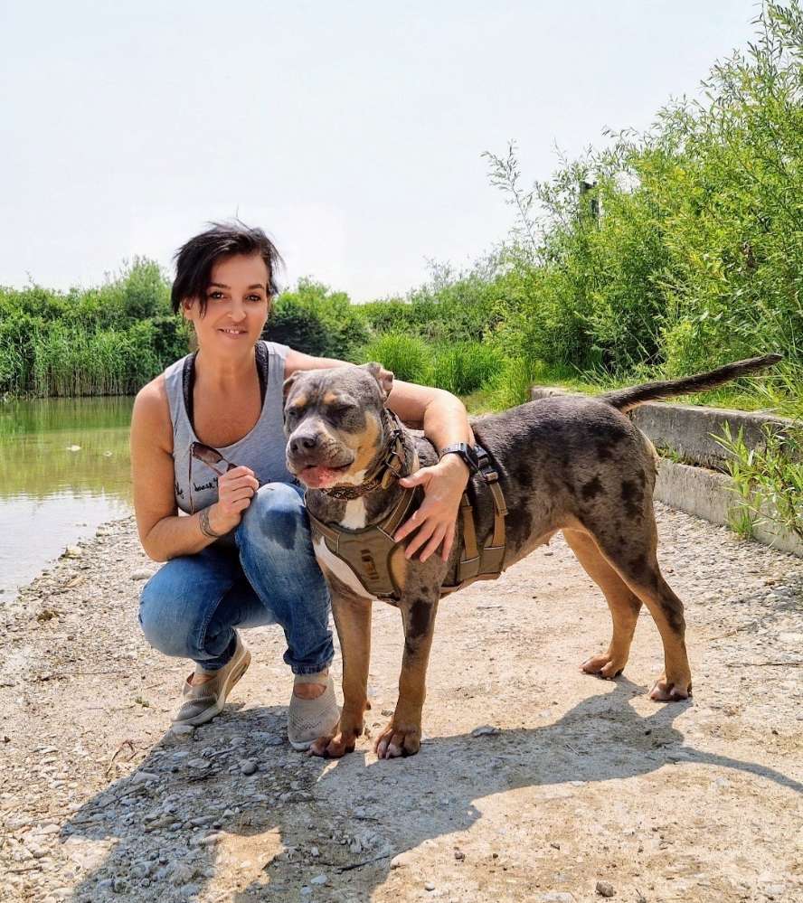 Hundetreffen-Suche Spielpartner für meine freundliche  Hündin Guinness.-Profilbild