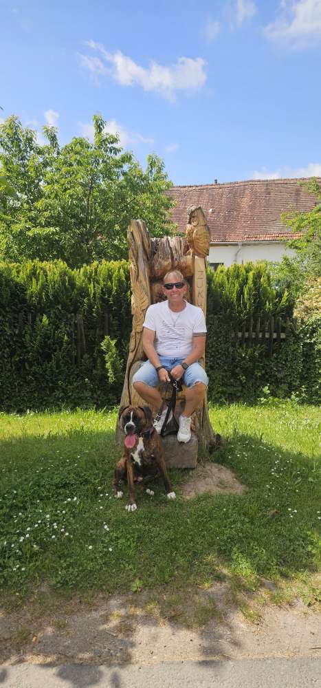 Hundetreffen-Spielen und Laufen rund um Hof-Profilbild