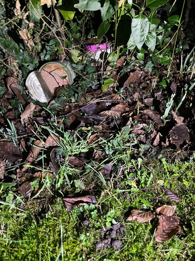 Giftköder-Giftköder-Profilbild