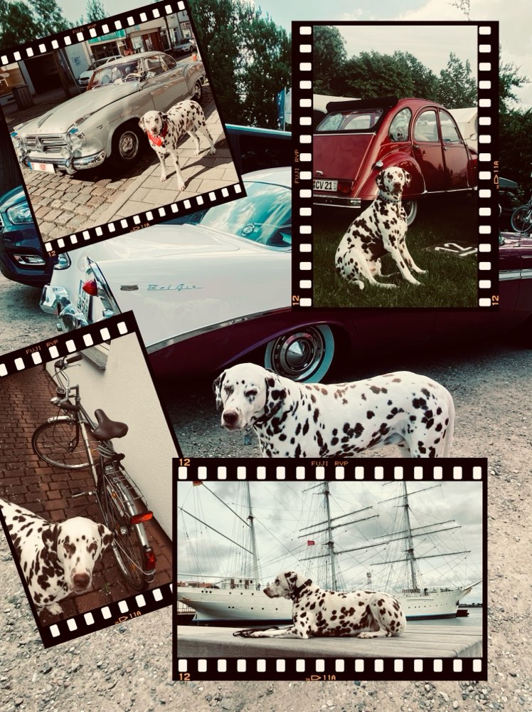 138. CollagenChallenge Banner