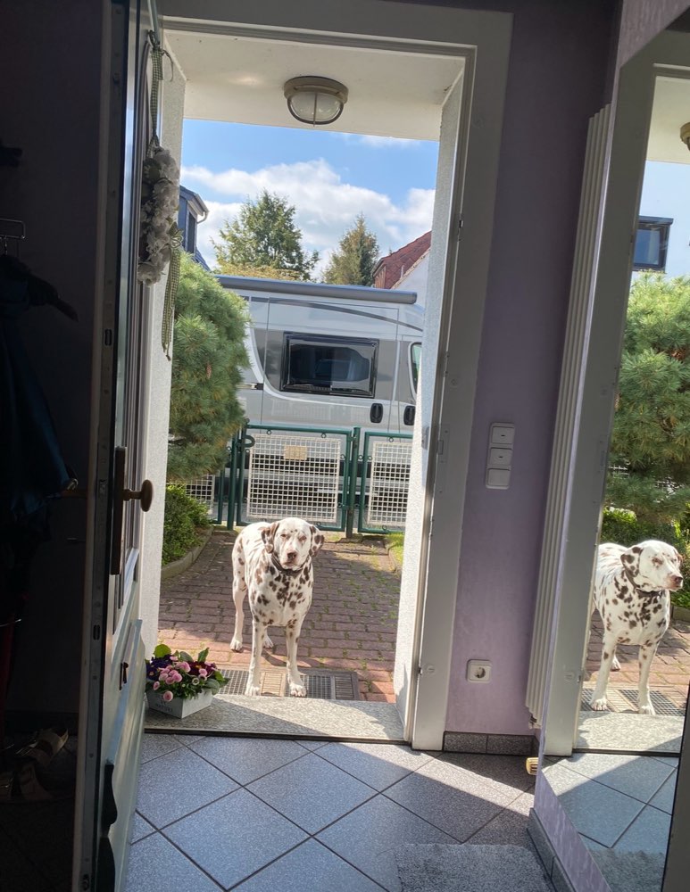 201. Fotowettbewerb: Bitte, kommen Sie rein/Dein Hund vor der Tür Banner