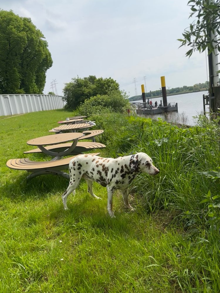 207. Fotowettbewerb Banner