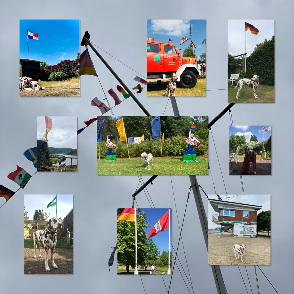 184. Collagen      Challenge Banner