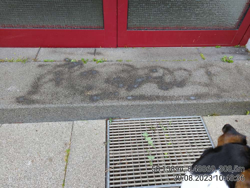 Giftköder-Giftköder ?-Profilbild