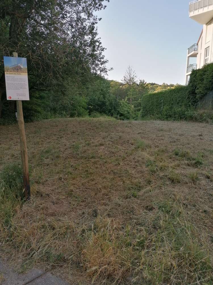 Giftköder-Giftköder-Profilbild