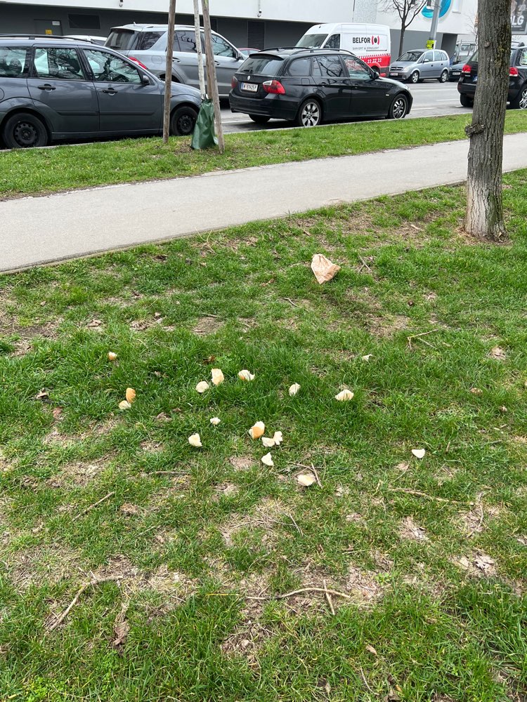 Giftköder-Essen (Semmeln)-Profilbild