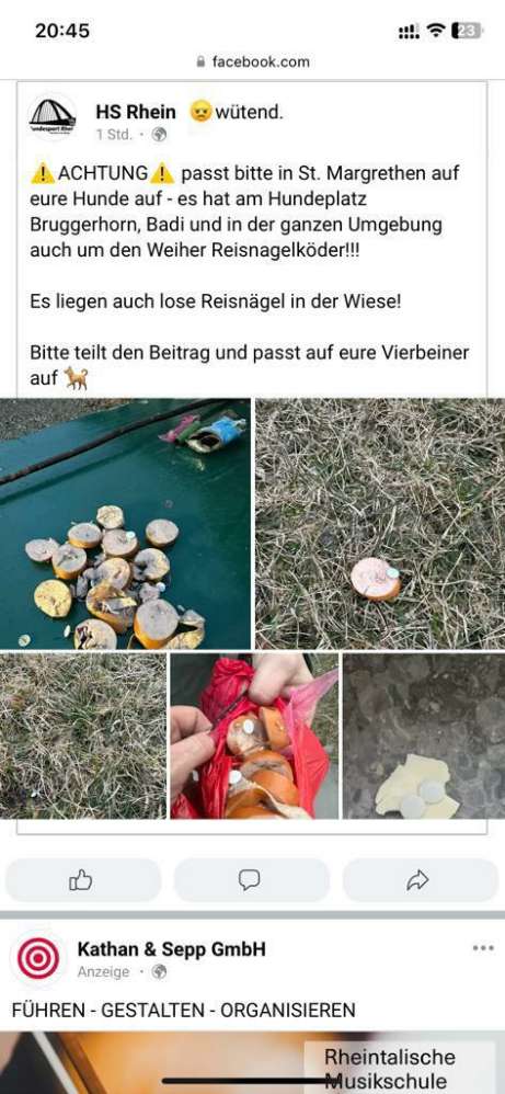 Giftköder-Giftköder-Profilbild