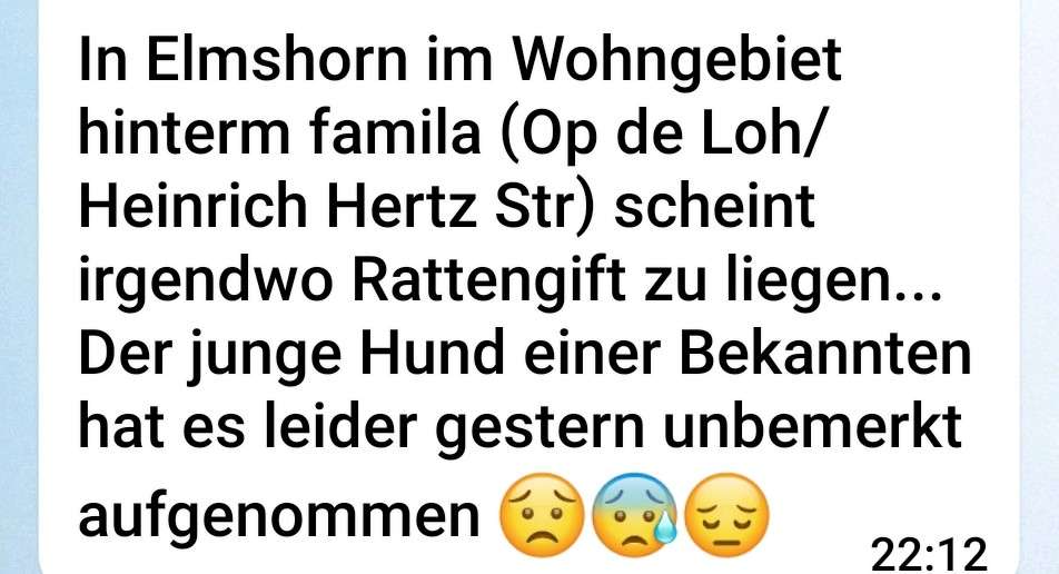 Giftköder-Giftköder-Profilbild